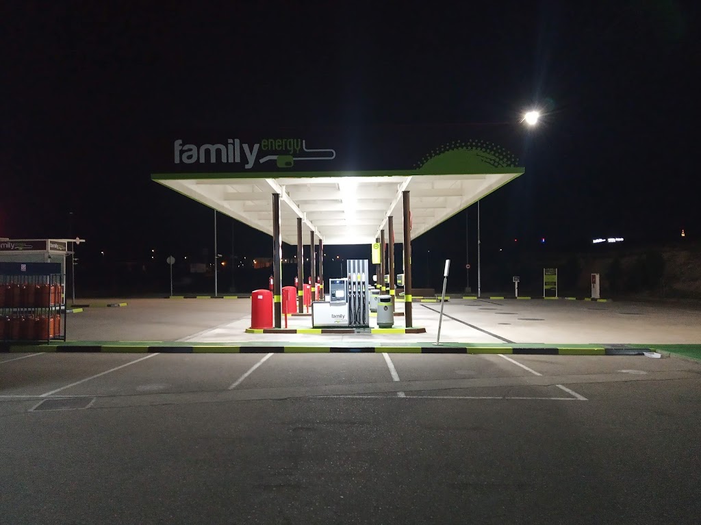 Family Energy Zaragoza